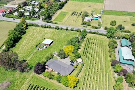 Photo of property in 45 Lansdowne Road, Appleby, Richmond, 7081