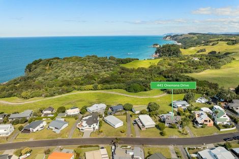 Photo of property in 441 Onemana Drive, Onemana, Whangamata, 3691
