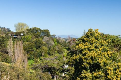 Photo of property in 109 Irishtown Road, Thames, 3500