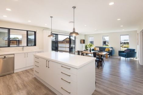 Photo of property in 2 Solomon Place, Witherlea, Blenheim, 7201