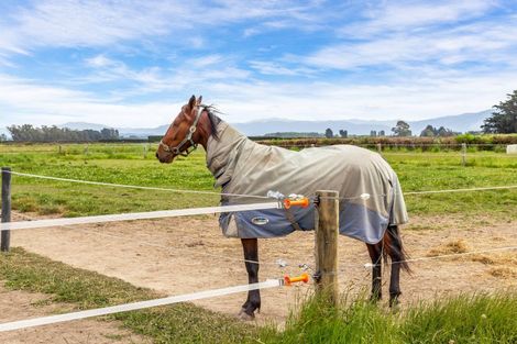 Photo of property in 14 Rakero (pvt) Lane, Fernside, 7471