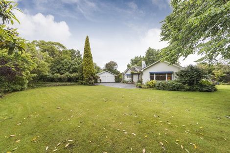 Photo of property in 79 North Street, Feilding, 4702