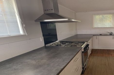 Photo of property in 44 Tomin Road, Glenview, Hamilton, 3206