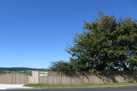 Photo of property in 25 Neal Street, Putaruru, 3411