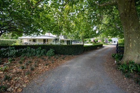 Photo of property in 4/191 Racecourse Road, Cambridge, 3493