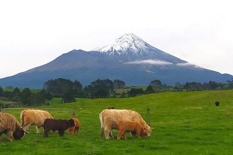 Photo of property in 718 Opunake Road, Cardiff, 4391