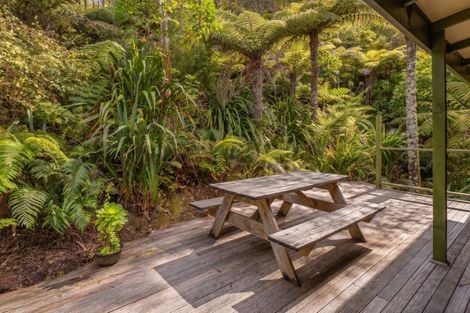 Photo of property in 860 Buffalo Road, Coromandel, 3506