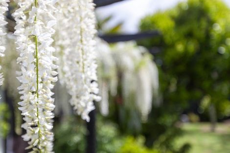 Photo of property in 15a Rosebank Grove, Waikanae, 5036