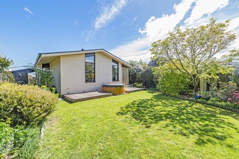 Photo of property in 29 Pultney Street, Leeston, 7632