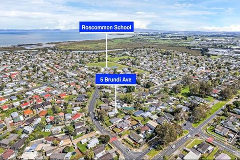 Photo of property in 5 Burundi Avenue, Clendon Park, Auckland, 2103