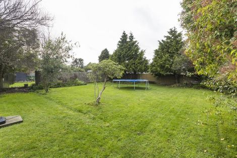 Photo of property in 11 Elizabeth Street, Feilding, 4702