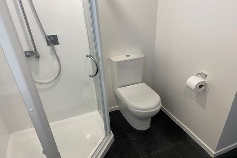 Photo of property in 2 Bartley Street, Northcote Point, Auckland, 0627