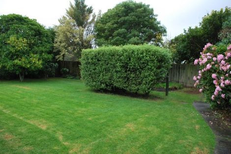 Photo of property in 55 Belvedere Avenue, Waikanae, 5036