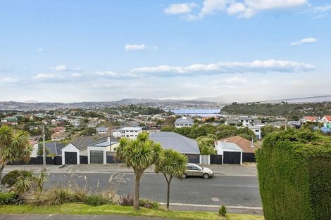 Photo of property in 21 Spottiswoode Street, Andersons Bay, Dunedin, 9013