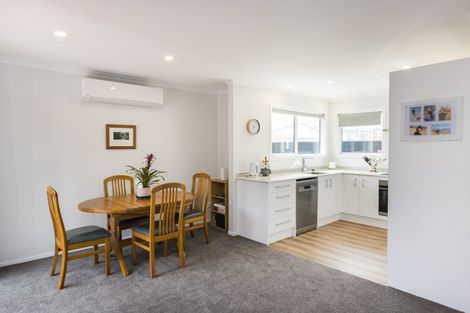 Photo of property in 17c Alfred Street, Roslyn, Palmerston North, 4414