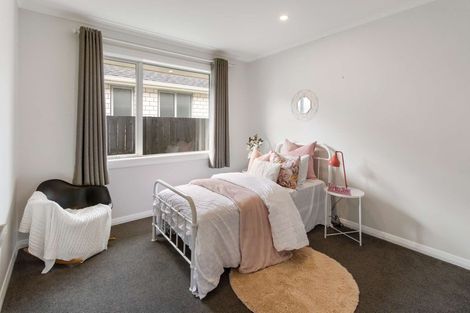 Photo of property in 91 Watkins Road, Cambridge, 3434