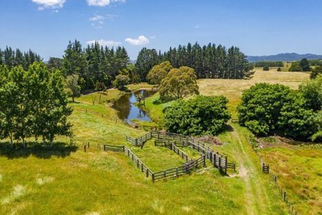 Photo of property in 391 Pakaru Road, Kawakawa, 0282