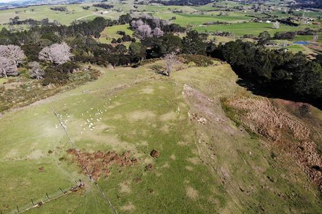 Photo of property in 132b Gatfield Road, Kaukapakapa, 0873