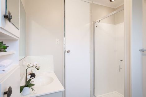 Photo of property in 206 Williams Street, Te Awamutu, 3800