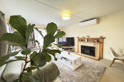 Photo of property in 102 Derby Street, Feilding, 4702