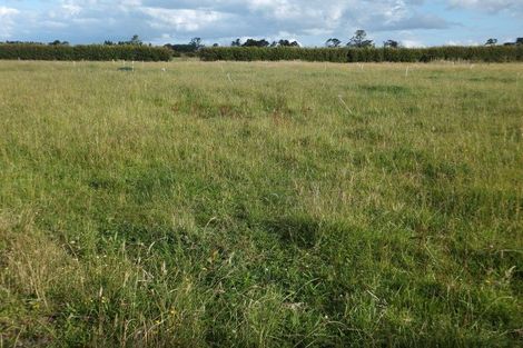 Photo of property in 89 Lepper Road, Inglewood, 4386