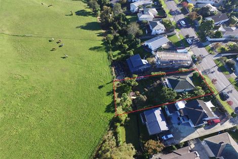 Photo of property in 31 Apirana Avenue, Glen Innes, Auckland, 1072