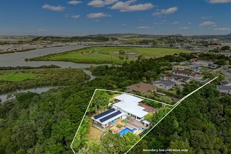 Photo of property in 55 Eureka Place, Parahaki, Whangarei, 0112