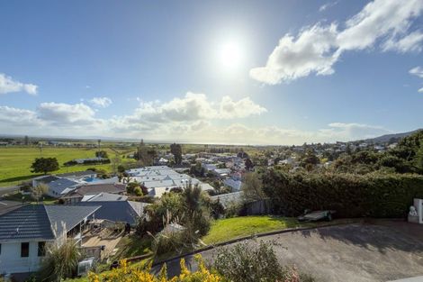 Photo of property in 123 The Booms Avenue, Thames, 3500