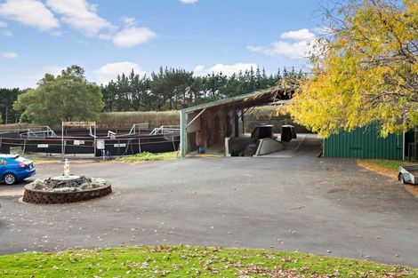 Photo of property in 150 Waiau Pa Road, Waiau Pa, Pukekohe, 2679