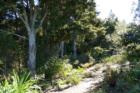 Photo of property in 157 Okokako Road, Waimate North, Kerikeri, 0293