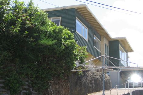 Photo of property in 15 Anderson Terrace, Mount Cook, Wellington, 6021