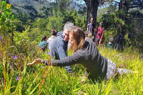 Photo of property in 13 Pohue Creek Road, Ruamahunga, Thames, 3575