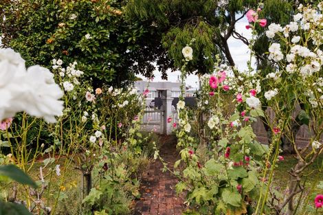 Photo of property in 24 Lytton Street, Feilding, 4702