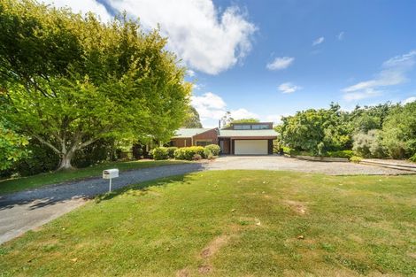 Photo of property in 40 Milne Street, Marton, 4710