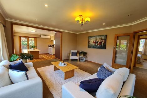 Photo of property in 4 Garnett Avenue, Forest Lake, Hamilton, 3200