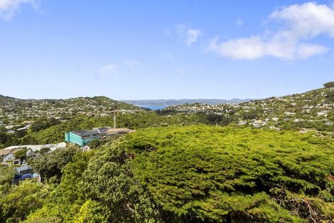 Photo of property in 53 Winston Street, Crofton Downs, Wellington, 6035