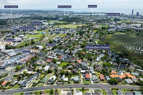 Photo of property in 18 Deuxberry Avenue, Northcote, Auckland, 0627