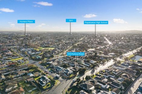 Photo of property in 115 Puhinui Road, Papatoetoe, Auckland, 2104