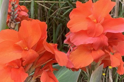 Photo of property in 1665 Matapouri Road, Matapouri, Whangarei, 0173