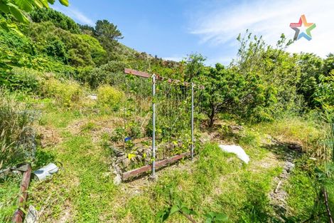 Photo of property in 1119 Coast Road, Wainuiomata Coast, Wainuiomata, 5373