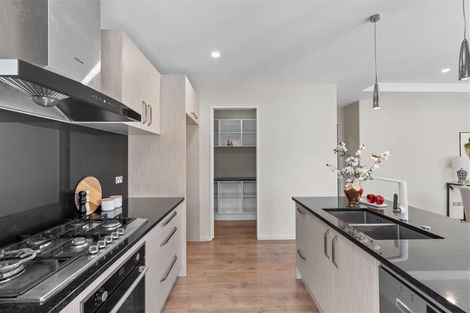 Photo of property in 33 Platinum Drive, Wigram, Christchurch, 8025