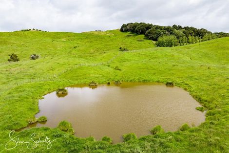 Photo of property in 215c Heatley Road, Whakapirau, 0583