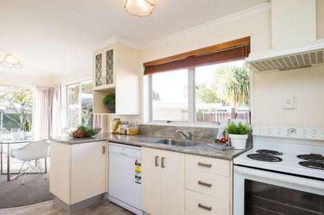 Photo of property in 17 Abraham Crescent, Milson, Palmerston North, 4414