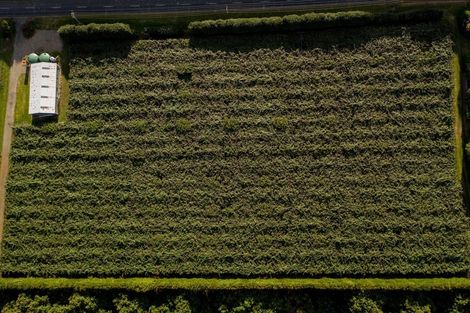 Photo of property in 39 Prole Road, Omokoroa, Tauranga, 3172