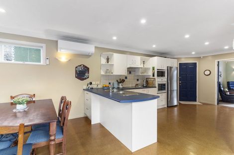 Photo of property in 22 Larsen Road, Panmure, Auckland, 1072