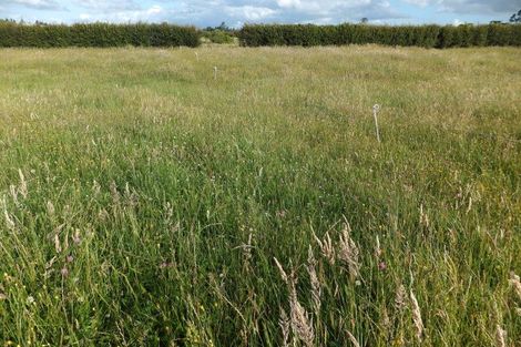 Photo of property in 89 Lepper Road, Inglewood, 4386