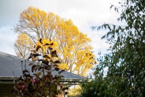 Photo of property in 3 South Oaks Close, Pukemoremore, Cambridge, 3493