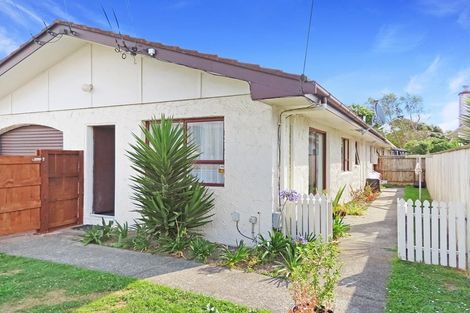 Photo of property in 68 Epuni Street, Hutt Central, Lower Hutt, 5011