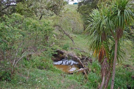 Photo of property in 87 Settlement Road, Kaiwaka, 0573