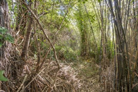 Photo of property in 13 Konini Street, Nelson South, Nelson, 7010